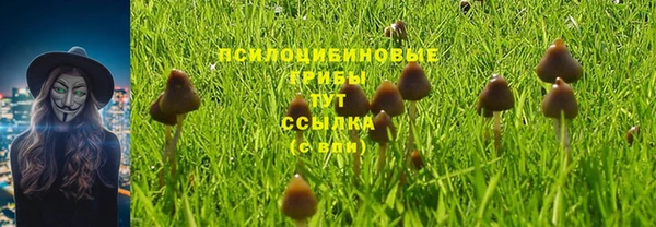 МДПВ Вязники