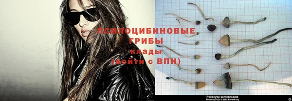 МДПВ Вязники